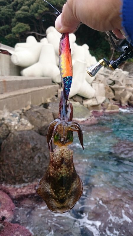 今年はもう終りかな～