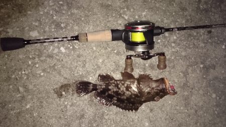 根魚釣り！南港！