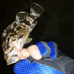 久しぶりの根魚釣り！
