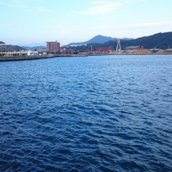 洲本港 アオリイカはどこへやら？