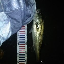 雨の中、、かっぱ着て