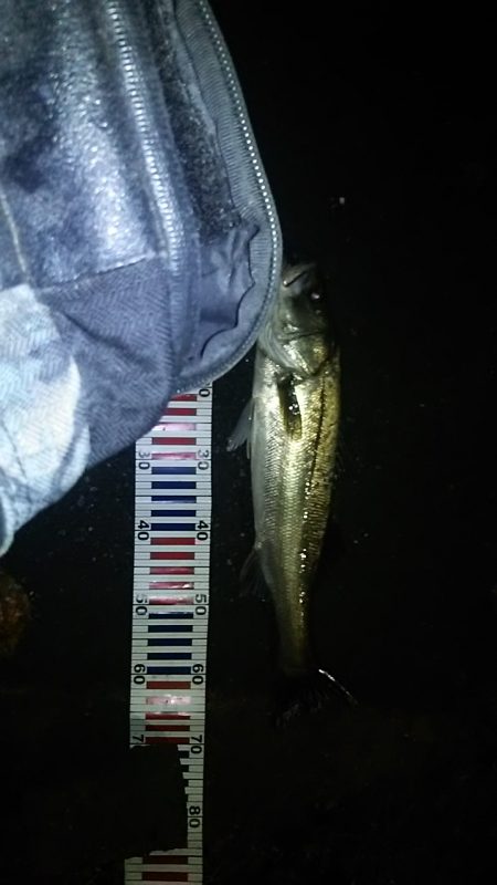 雨の中、、かっぱ着て