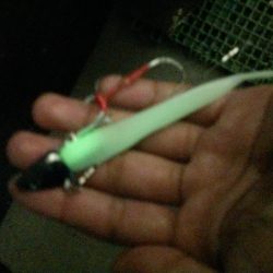 初めてシーバス釣りましたぁうれしいー！