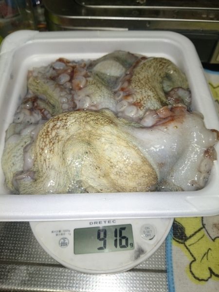 やっぱりタコしか…