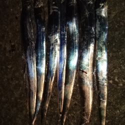 短時間ワインド