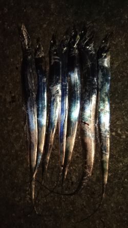 短時間ワインド