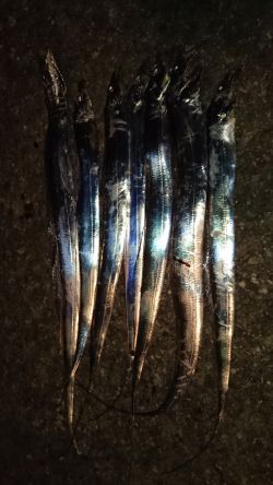 短時間ワインド