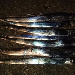 短時間ワインド