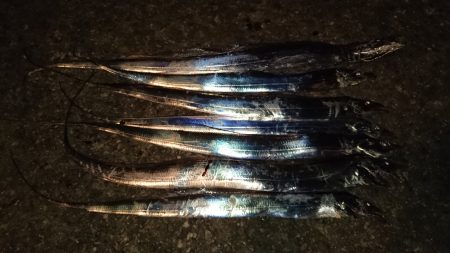 短時間ワインド