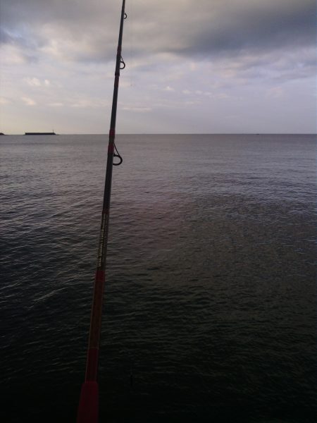 日高川河口青物