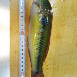 海釣り公園無料日