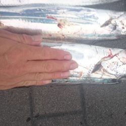 ドラゴンハンティング2