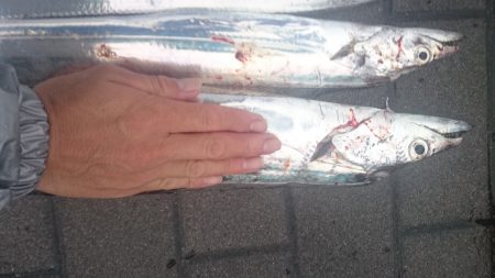 ドラゴンハンティング2