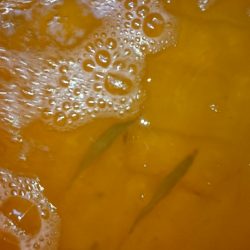 サビキ釣り、投光器点けて頑張るも。