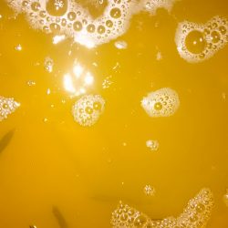 食品コンビナートサビキ釣りに出掛けたよ