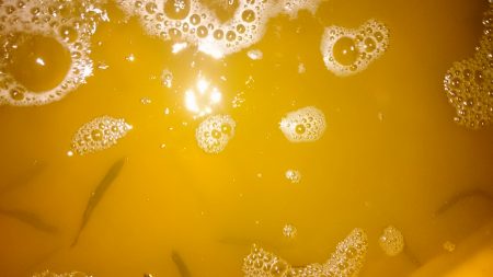 食品コンビナートサビキ釣りに出掛けたよ