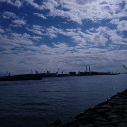 着いて１投目にいきなり良型のカレイが…………。