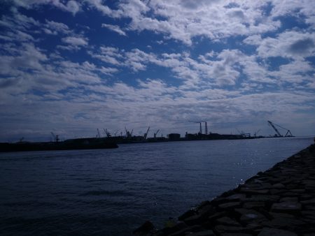 着いて１投目にいきなり良型のカレイが…………。