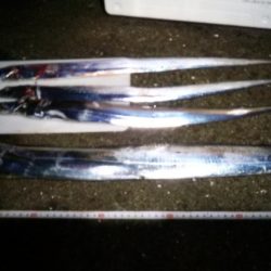 ﾒｼﾞﾛ　Get　ヽ(^◇^*)/ ﾜｰｲ