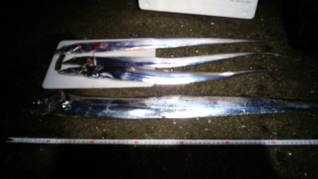 ﾒｼﾞﾛ　Get　ヽ(^◇^*)/ ﾜｰｲ