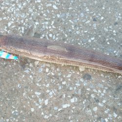 ボラれました…(-o-;)