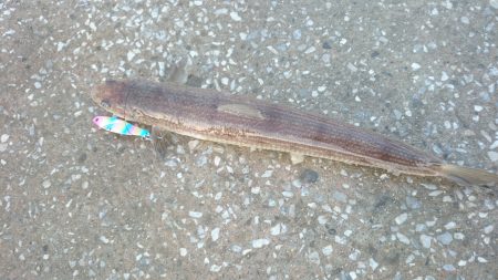 ボラれました…(-o-;)