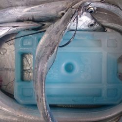 予定外のガシリングで…