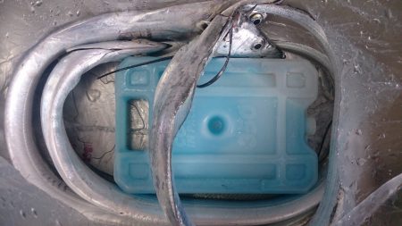 予定外のガシリングで…