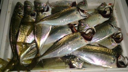 各漁港をまわって