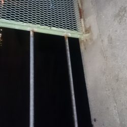 寒いけどあじはいます