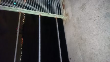 寒いけどあじはいます