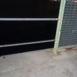 寒いけどあじはいます