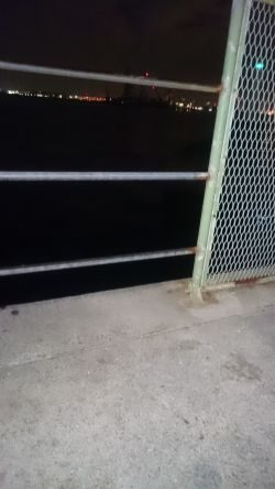 寒いけどあじはいます