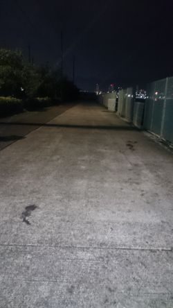 短い時間ですが楽しいです