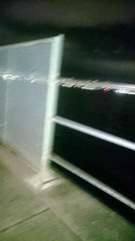 ヤッパリアジング