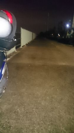 いわしの大群が