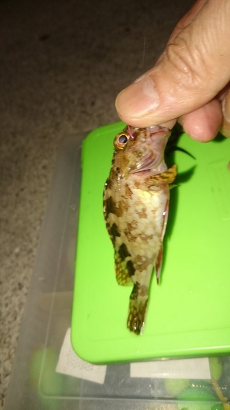 残業は海でします