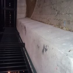 楽しみなアジングです