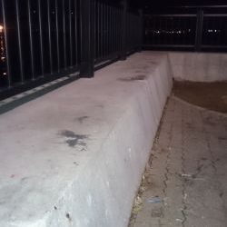 楽しみなアジングです