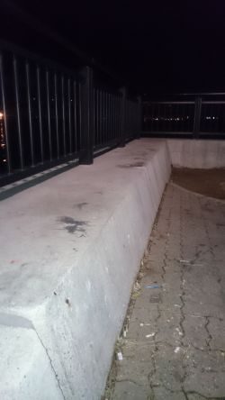 楽しみなアジングです