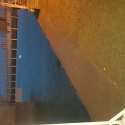 雨には負けません