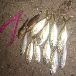 ランガンしてきました