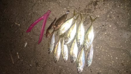 ランガンしてきました