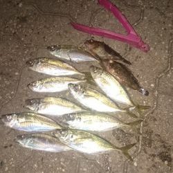 ランガンしてきました