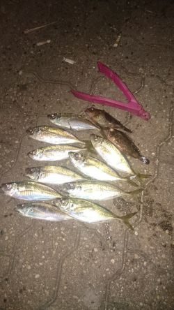 ランガンしてきました