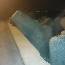 寒さはましでした