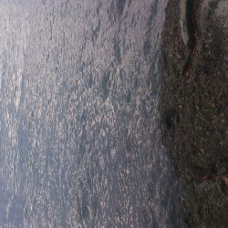 朝マズメ～お昼釣行！