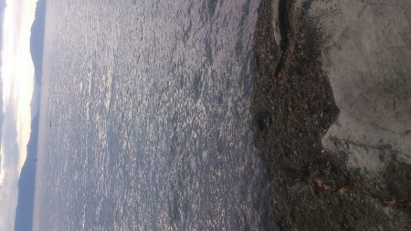 朝マズメ～お昼釣行！