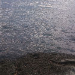 朝マズメ～お昼釣行！