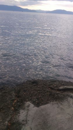 朝マズメ～お昼釣行！